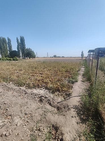Жер тилкелерди ижарага берүү: 20 соток, Курулуш, Кызыл китеп — 8