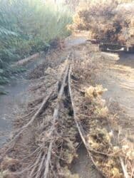 работа упаковщика бишкек: Портер, Вывоз строй мусора, По городу, без грузчика — 15