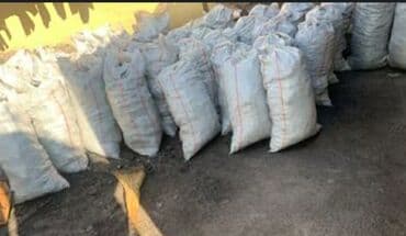 грецкий орех очищенный цена за 1 кг бишкек: Продаю 
Шабаркуль 
 Беш Сары
и дрова в мешках 
 
Токмок — 1