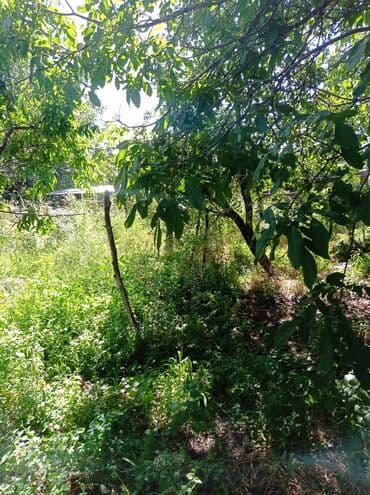 Сниму дом: Дом, 60 м², 3 комнаты, Агентство недвижимости, Старый ремонт — 1