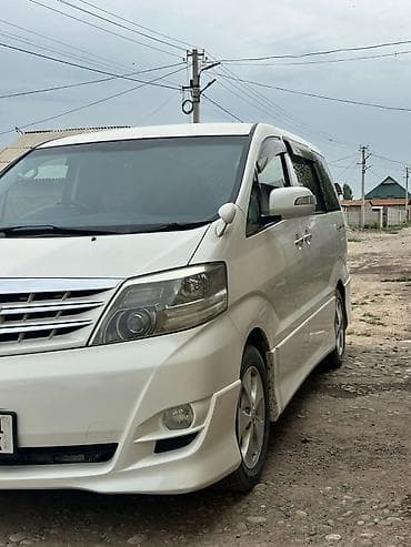дубль кобина: Toyota Alphard: 2007 г., Автомат, Бензин, Минивэн — 9