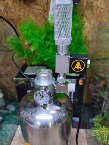 аквариумная рыбка: Универсальный CO2 для небольших аквариумов. С возможностью — 3