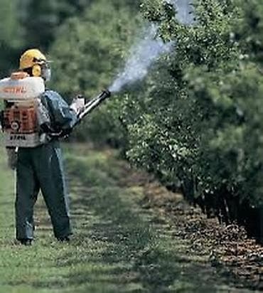 Сад, участок, деревья, обработка против вредителей, клещей, черепашки at lalafo.kg Сад, участок, деревья, обработка против вредителей, клещей, черепашки