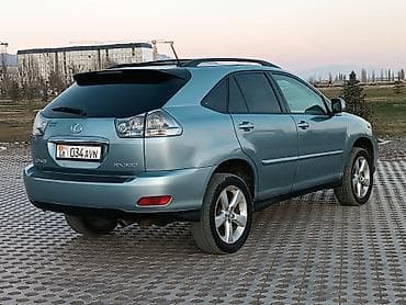 автомобиль жук: Lexus RX: 2003 г., 3.3 л, Автомат, Бензин, Кроссовер — 6