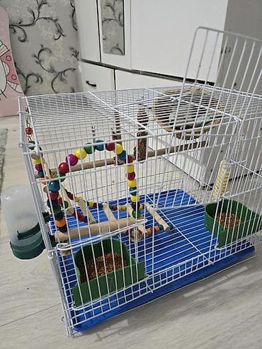 Зоотовары: Папугай с клеткой для волнистого попугая с полным набором аксессуаров — 1