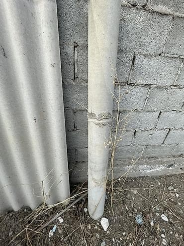 сокулук селекция: Отдам даромсамовывоз сегодня 22.03 все в одни руки — 1