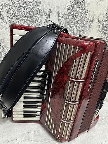 головка звукоснимателя: Аккордеоны — 6