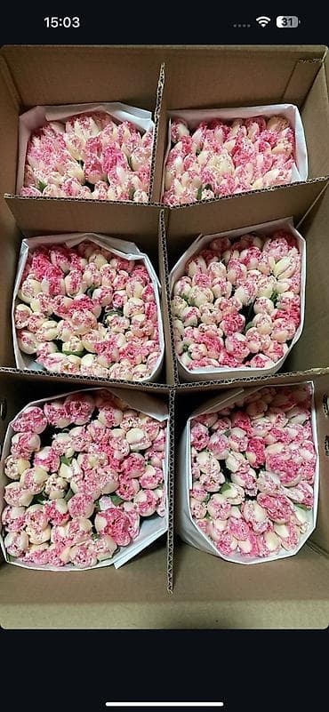 Гирлянды: ОПТОМ ТЮЛЬПАНЫ БИШКЕК — 3