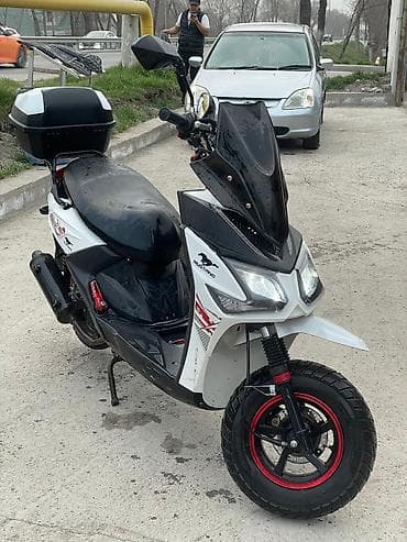 танк мопед цена: Скутер Mustang (бензиновый) - Кузов: спортивный дизайн, бело‑черный — 2