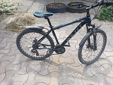 speedone frame: Горный велосипед, Рама L (172 - 185 см), Сталь, Б/у — 3