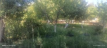 Кыймылсыз мүлк: 5 соток, Айыл чарба үчүн — 2