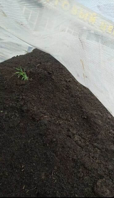 компост купить: В тоннах, Бесплатная доставка, Платная доставка, Зил, Камаз, Хово — 3