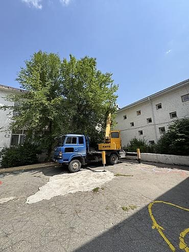 Услуги: Стрела 21 м, 5000 т — 7