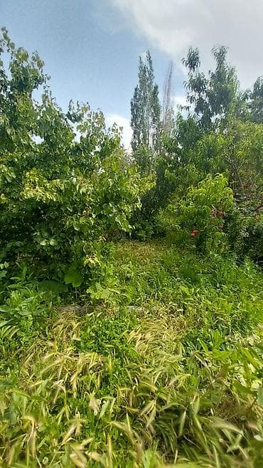 купить дом в кызыле: Срочно продаю дом, Абдраева-Месароша, участок 4,5 соток (По факту 9,3 — 8