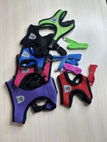 Широкие шлейки с поводком для собак и кошек. Качество отличное