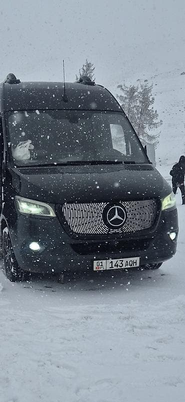 Mercedes‑Benz Sprinter, VIP‑микроавтобус. Основные особенности: -
