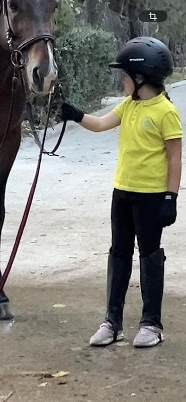 Сумка, шлем, краги, бриджи для конного спорта Вся экипировка на 8-9