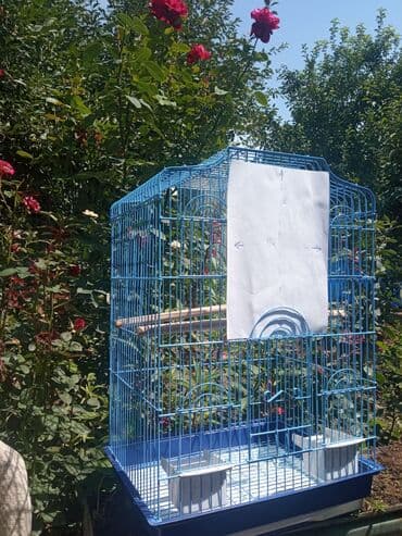 ульи пчелы: Клетка для попугаев, большая 
Цена 5000 
торг уместен — 3