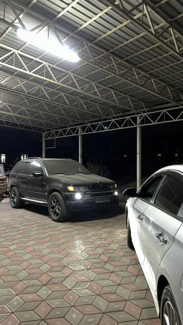 BMW X5: 2002 г., 4.4 л, Автомат, Бензин, Кроссовер