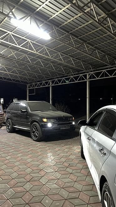 e53 4 8: BMW X5: 2002 г., 4.4 л, Автомат, Бензин, Кроссовер — 1