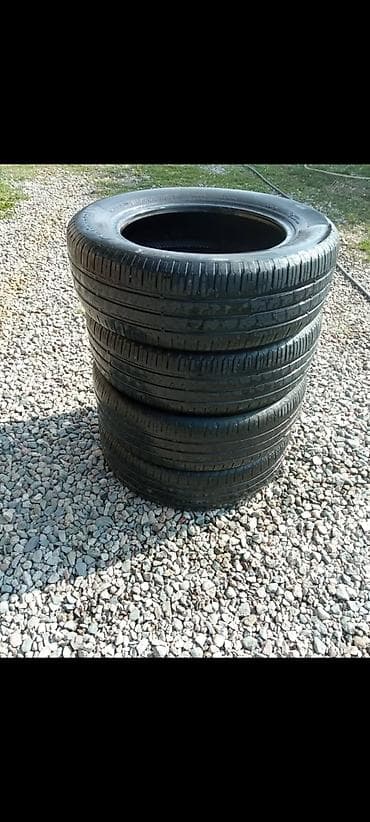 Летный баасы 6000 сом