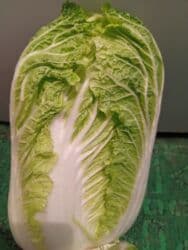 купить свежую капусту: Көк чөптөр жана микро жашылчалар — 2