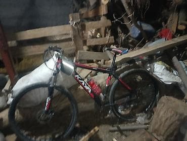 Велосипеддер: Тоо велосипеди, Велосипед алкагы M (156 - 178 см), Алюминий — 2