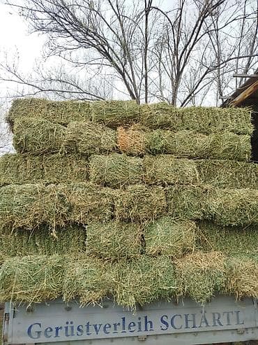 жаныбарлар: Сено в тюках (малые прямоугольные) — луговое/злаково-бобовое — 4