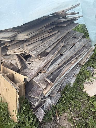 попугай бесплатно: Отдам даром, бесплатно Строительные аппалубки, его остатки. Самовывоз — 1