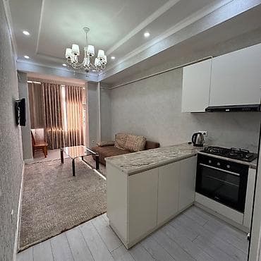 2 комнаты, 52 м², Дворец спорта Элитка, 7 этаж, Евроремонт — 8