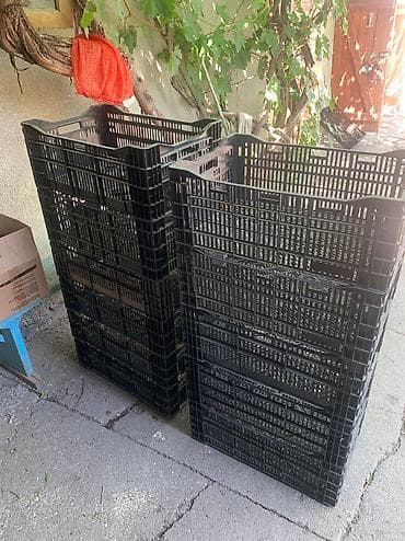сколько стоит лук: Куплю ящики 150 сом голландские из под луковицы! 500 — 1