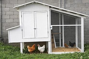 куриный клетка: Уютный уличный курятник с прогулочным вольером - Просторная — 1