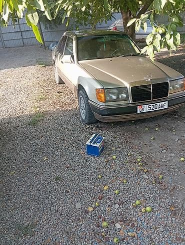 мэрси: Mercedes-Benz W124: 1991 г., Седан — 2
