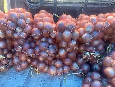 большой офисный стол: Лук Оптом — 4