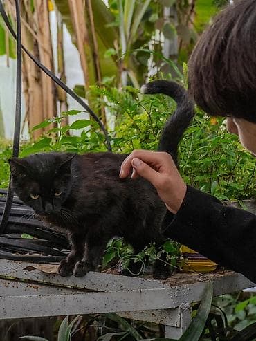 maxima j30: Услуги фотографа-видеографа. Снимаю на Сони a6400 (вдруг это кому то — 5