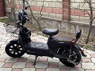 мото зашита: Электроскутер Panda (электровелосипед-скутер) в чёрном цвете — 4