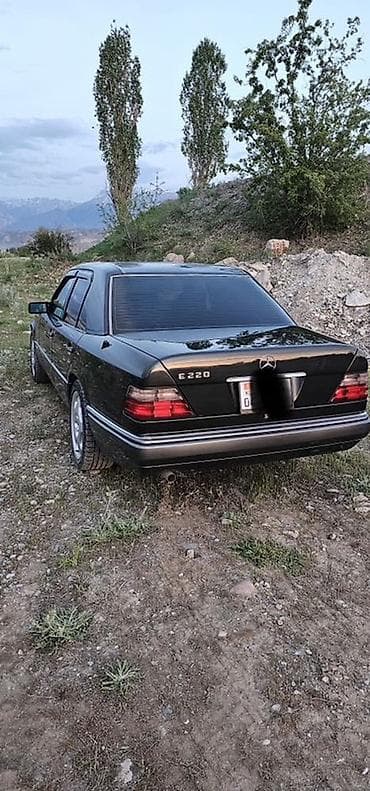 Mercedes-Benz W124: 1993 г., 2.2 л, Кол менен иштөөчү, Бензин, Седан — 7