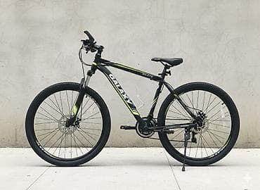 format diski: Горный велосипед, Galaxy, Рама M (156 - 178 см), Алюминий, Новый — 1