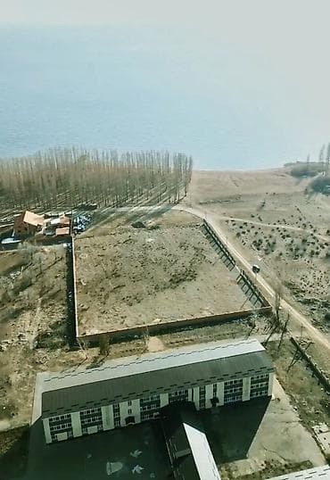 Жер участогун сатып алам: 73 соток, Кызыл китеп — 1