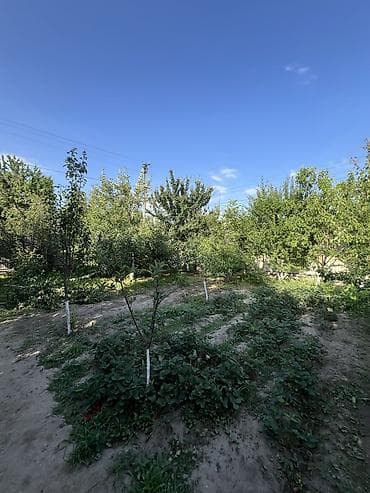 пес аренда: 📌Продается новый мансардный дом. 🏠 - Тип: Дом с участком(идеально для — 5