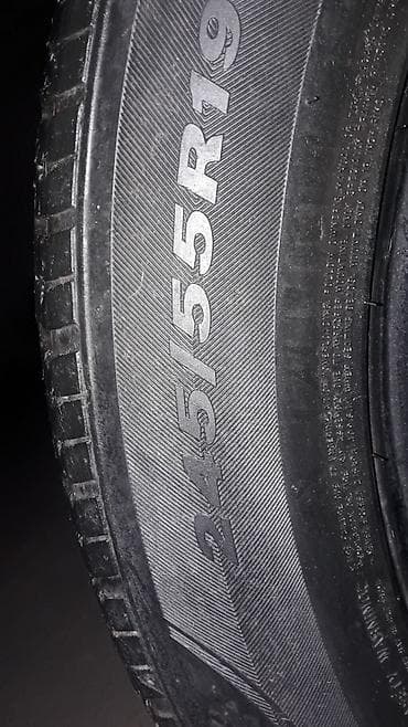 ом 628: Шины 245 / 55 / R 19, Лето, Б/у, Комплект, Внедорожные (АТ/МТ), Nexen — 1