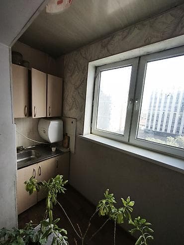 сары булун: 2 бөлмө, Менчик ээси, Жарым -жартылай эмереги бар — 5