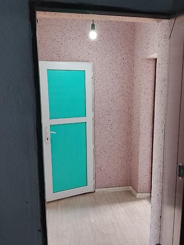 1 комната, Без животных