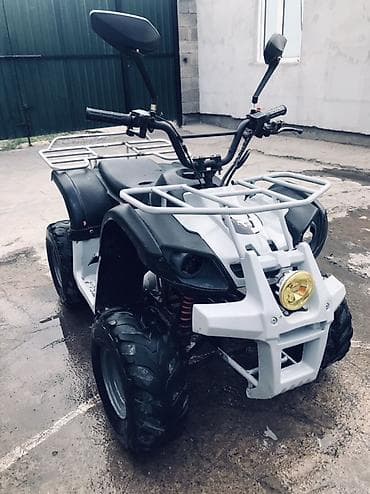 Квадроциклы: Квадроцикл утилитарного типа, средний класс. Основные характеристики — 5