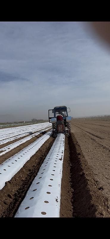 double a бумага бишкек: Клубникага бугор жасайбыз Бишкек чуй — 2