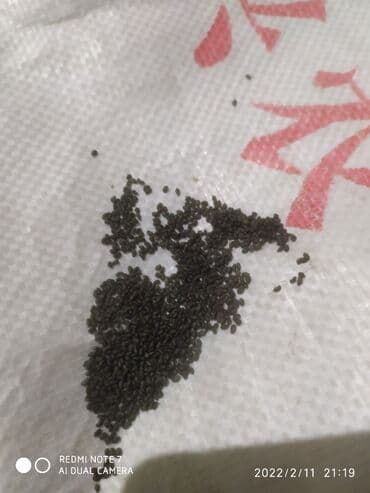 Беде люцерно сатылат