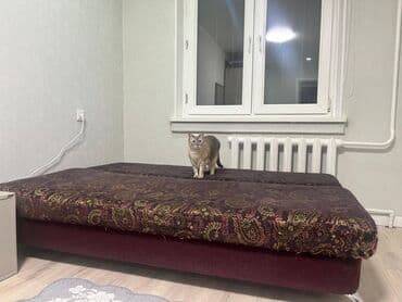 кухонные гарнитуры бу ош: Раскладной диван — 2