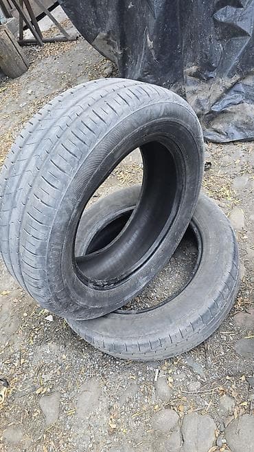 шина bridgestone: Шины 205 / 60 / R 16, Лето, Комплект, Легковые, Bridgestone — 4