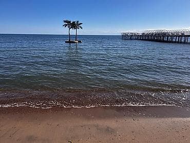 Коттедж, Палм Бич ЦО Palm Beach, Чок-Тал, Барбекю, Баскетбольная площадка, Батут