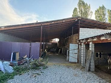 продажа гаражей: Крытый сельскохозяйственный комплекс/навес с хозпомещениями - — 4